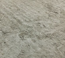 日博集团-旧地面起砂起尘怎么办